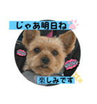 やっぱり大ちゃん（個別スタンプ：14）