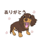 チョコタン カニヘンダックスの紬(つむぎ)（個別スタンプ：1）