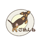 チョコタン カニヘンダックスの紬(つむぎ)（個別スタンプ：2）