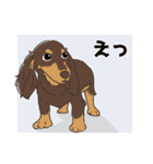 チョコタン カニヘンダックスの紬(つむぎ)（個別スタンプ：8）