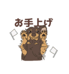 チョコタン カニヘンダックスの紬(つむぎ)（個別スタンプ：10）