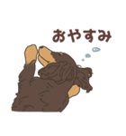 チョコタン カニヘンダックスの紬(つむぎ)（個別スタンプ：12）
