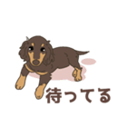 チョコタン カニヘンダックスの紬(つむぎ)（個別スタンプ：18）