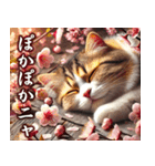 猫のお祝い・感謝（個別スタンプ：20）