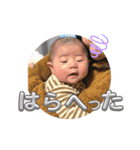 てんせいスタンプno.1（個別スタンプ：3）