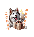 2月のシベリアンハスキー（個別スタンプ：5）