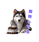 2月のシベリアンハスキー（個別スタンプ：12）