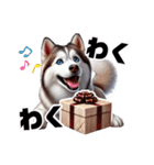 2月のシベリアンハスキー（個別スタンプ：14）