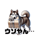 2月のシベリアンハスキー（個別スタンプ：23）