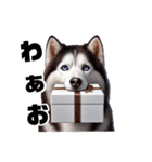 2月のシベリアンハスキー（個別スタンプ：27）
