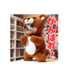 オコジョすたんぷ♡クマ五郎・気持ちの言葉（個別スタンプ：17）