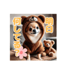 オコジョすたんぷ♡クマ五郎・気持ちの言葉（個別スタンプ：21）