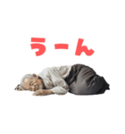 寝る老人（個別スタンプ：4）