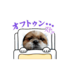 うるぽのちゃんシーズー（個別スタンプ：7）