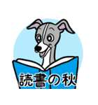 秋に使えるイタグレ達のスタンプ（個別スタンプ：19）