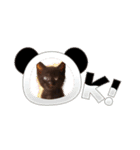 黒猫ちゃんのおすまし（個別スタンプ：7）