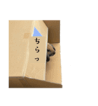 お茶々のスタンプ①（個別スタンプ：14）