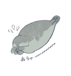 日常に添えるアザラシ(フランク)（個別スタンプ：29）