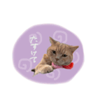 AKAGI☆（個別スタンプ：1）