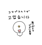 ピヨコロ 韓国語（個別スタンプ：6）