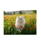 お花畑と猫（個別スタンプ：2）