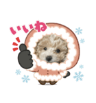 chouchou日常スタンプ（個別スタンプ：2）