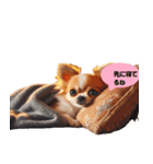 チワワの可愛い生活スタンプ（個別スタンプ：11）