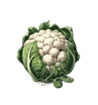ただ野菜だけ（個別スタンプ：6）