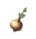 ただ野菜だけ（個別スタンプ：16）