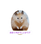 リアクションコスモ（個別スタンプ：1）