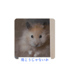 リアクションコスモ（個別スタンプ：2）