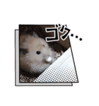 リアクションコスモ（個別スタンプ：3）