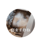 リアクションコスモ（個別スタンプ：5）