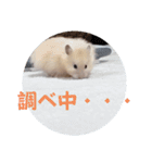 リアクションコスモ（個別スタンプ：10）