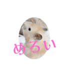 リアクションコスモ（個別スタンプ：11）