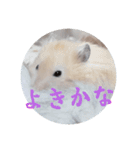 リアクションコスモ（個別スタンプ：12）
