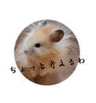 リアクションコスモ（個別スタンプ：14）