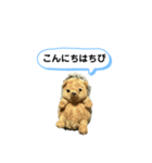 ちびみ 日常会話スタンプ（個別スタンプ：2）