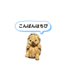 ちびみ 日常会話スタンプ（個別スタンプ：3）