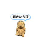 ちびみ 日常会話スタンプ（個別スタンプ：4）