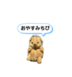 ちびみ 日常会話スタンプ（個別スタンプ：5）