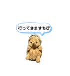 ちびみ 日常会話スタンプ（個別スタンプ：6）