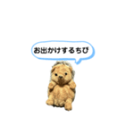ちびみ 日常会話スタンプ（個別スタンプ：8）