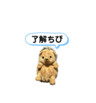 ちびみ 日常会話スタンプ（個別スタンプ：9）