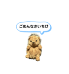 ちびみ 日常会話スタンプ（個別スタンプ：11）
