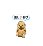 ちびみ 日常会話スタンプ（個別スタンプ：12）