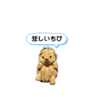 ちびみ 日常会話スタンプ（個別スタンプ：13）