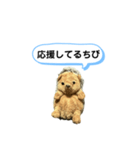 ちびみ 日常会話スタンプ（個別スタンプ：15）