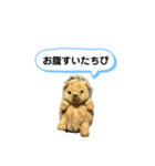 ちびみ 日常会話スタンプ（個別スタンプ：16）
