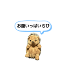 ちびみ 日常会話スタンプ（個別スタンプ：17）